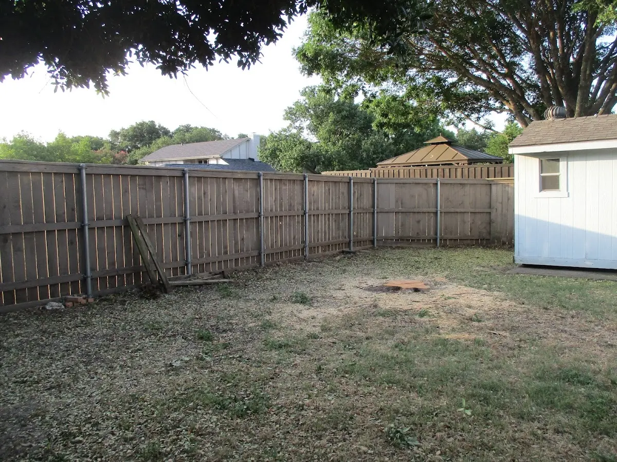 Cleared yard after professional tree removal in Coal Mountain